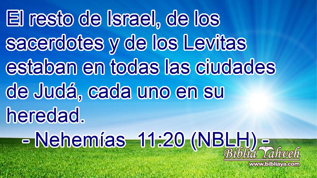  El resto de Israel, de los sacerdotes y de los Levitas estaban en todas las ciudades de Judá, cada uno en su heredad. 