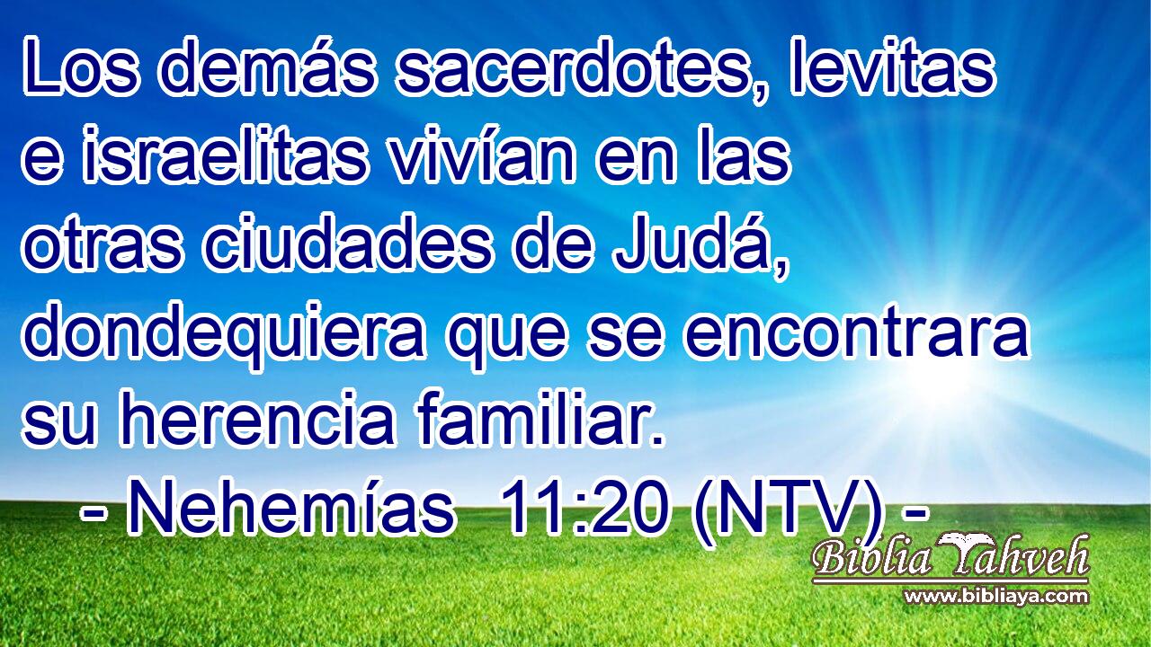 Los demás sacerdotes, levitas e israelitas vivían en las otras ciudades de Judá, dondequiera que se encontrara su herencia familiar.