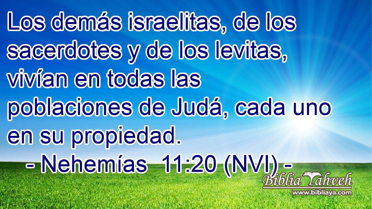  Los demás israelitas, de los sacerdotes y de los levitas, vivían en todas las poblaciones de Judá, cada uno en su propiedad. 