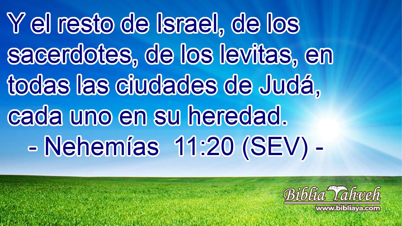 Y el resto de Israel, de los sacerdotes, de los levitas, en todas las ciudades de Judá, cada uno en su heredad.
