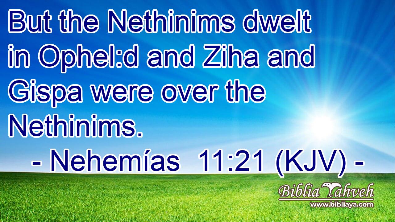 But the Nethinims dwelt in Ophel:d and Ziha and Gispa were over the Nethinims.