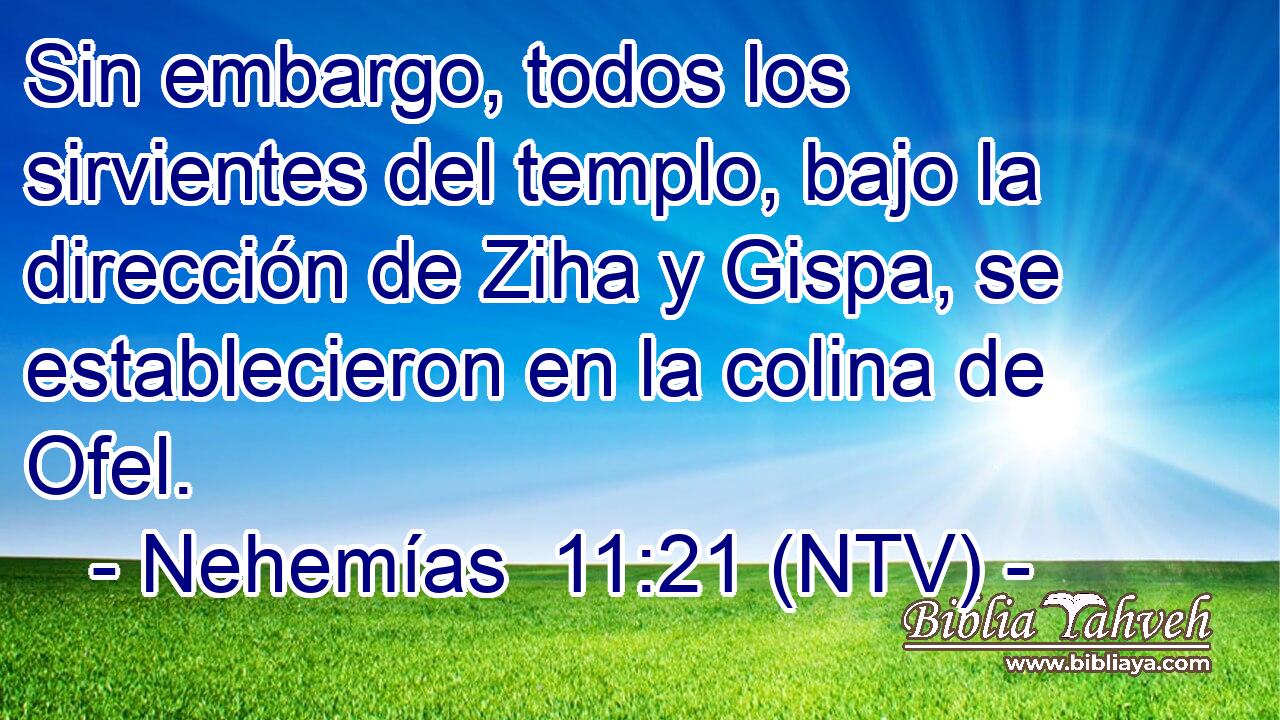 Sin embargo, todos los sirvientes del templo, bajo la dirección de Ziha y Gispa, se establecieron en la colina de Ofel.