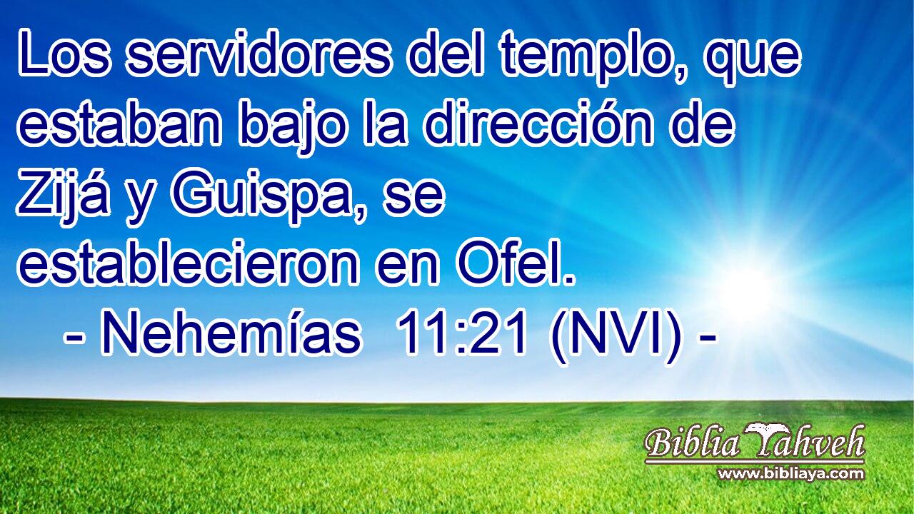  Los servidores del templo, que estaban bajo la dirección de Zijá y Guispa, se establecieron en Ofel. 