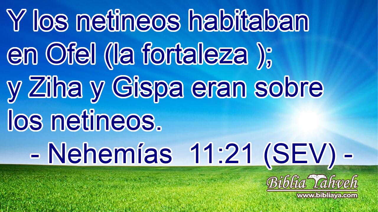Y los netineos habitaban en Ofel (la fortaleza ); y Ziha y Gispa eran sobre los netineos.