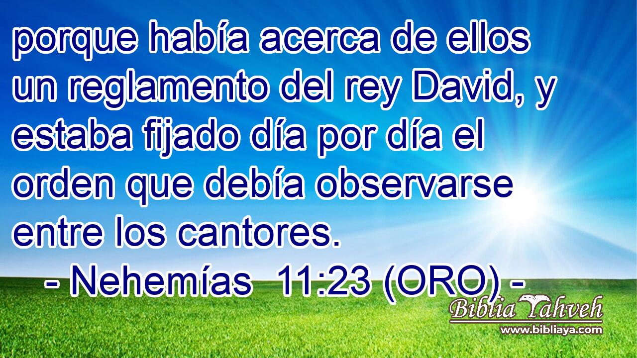  porque había acerca de ellos un reglamento del rey David, y estaba fijado día por día el orden que debía observarse entre los cantores. 