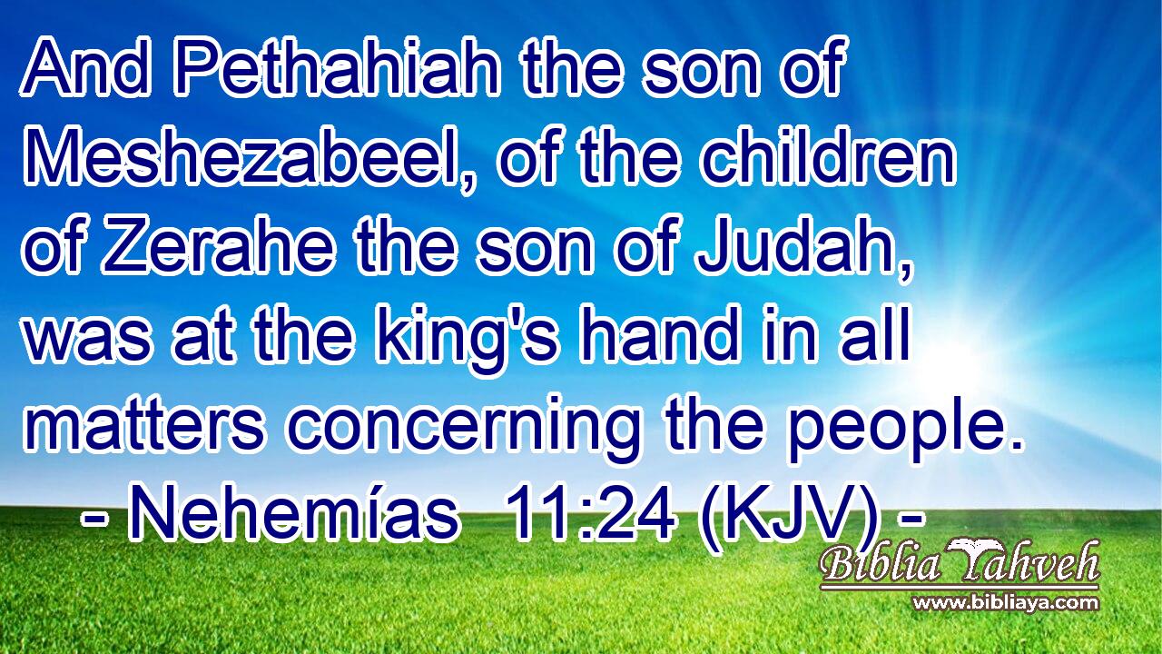 And Pethahiah the son of Meshezabeel, of the children of Zerahe the son of Judah, was at the king's hand in all matters concerning the people.