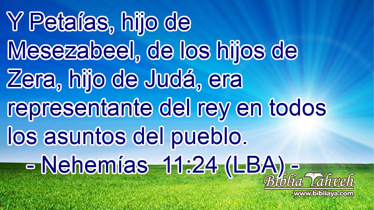 Y Petaías, hijo de Mesezabeel, de los hijos de Zera, hijo de Judá, era representante del rey en todos los asuntos del pueblo.