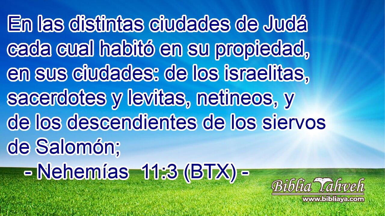 En las distintas ciudades de Judá cada cual habitó en su propiedad, en sus ciudades: de los israelitas, sacerdotes y levitas, netineos, y de los descendientes de los siervos de Salomón;