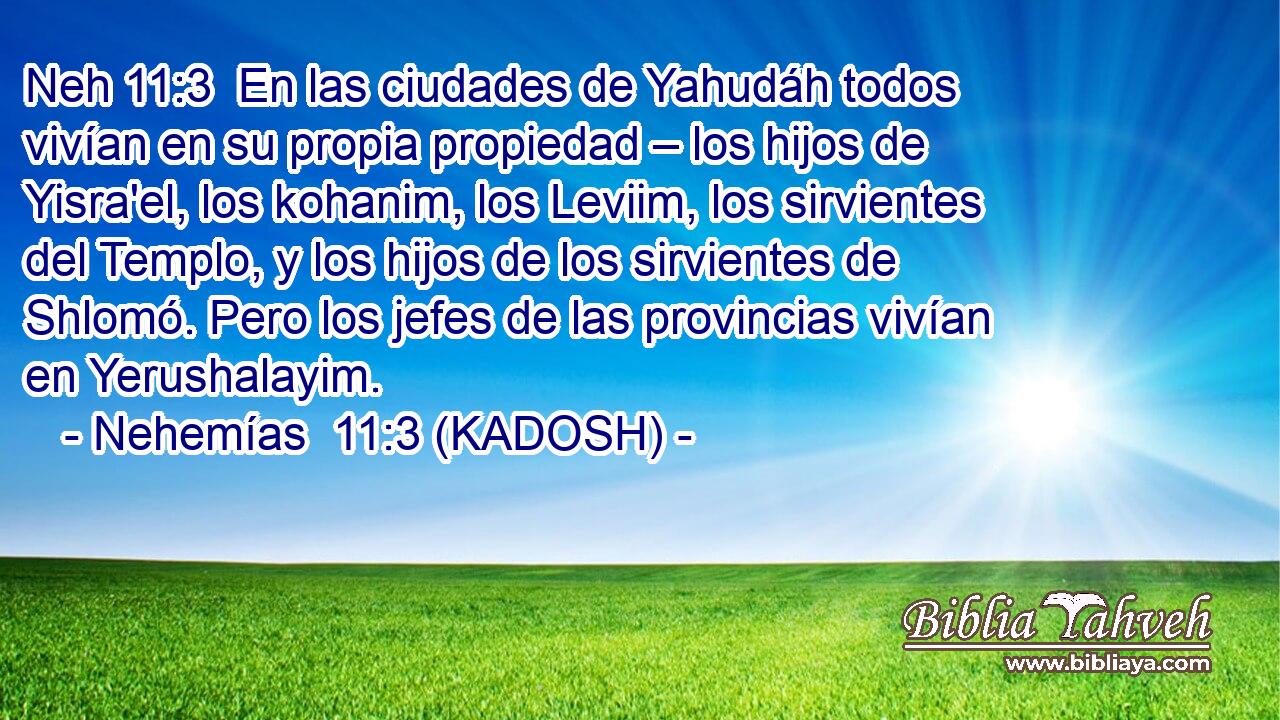 En las ciudades de Yahudáh todos vivían en su propia propiedad – los hijos de Yisra'el, los kohanim, los Leviim, los sirvientes del Templo, y los hijos de los sirvientes de Shlomó. Pero los jefes de las provincias vivían en Yerushalayim. 