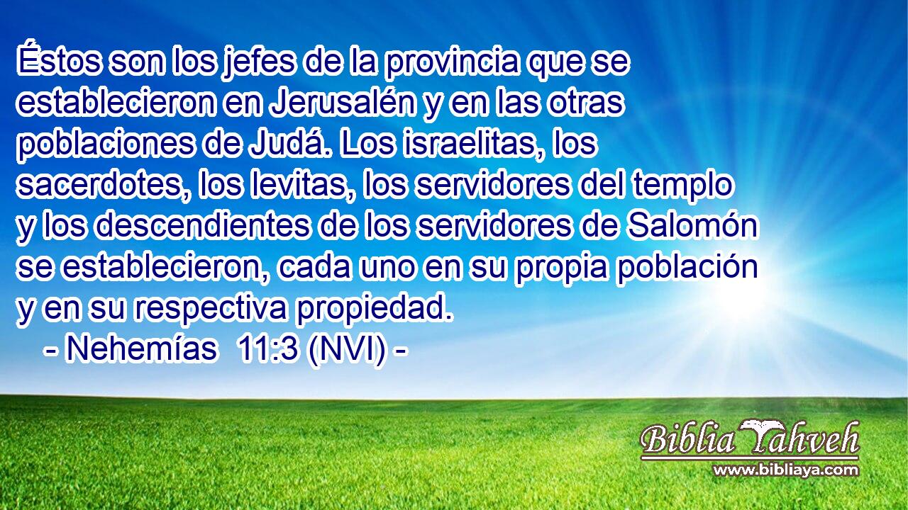  Éstos son los jefes de la provincia que se establecieron en Jerusalén y en las otras poblaciones de Judá. Los israelitas, los sacerdotes, los levitas, los servidores del templo y los descendientes de los servidores de Salomón se establecieron, cada uno en su propia población y en su respectiva propiedad. 