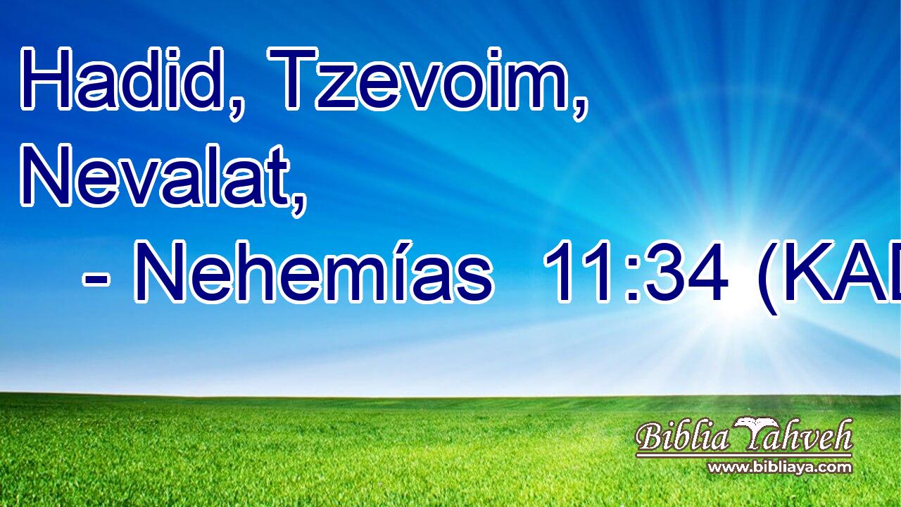  Hadid, Tzevoim, Nevalat, 