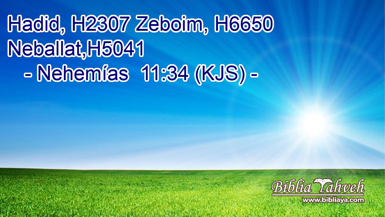 Hadid, H2307 Zeboim, H6650 Neballat,H5041