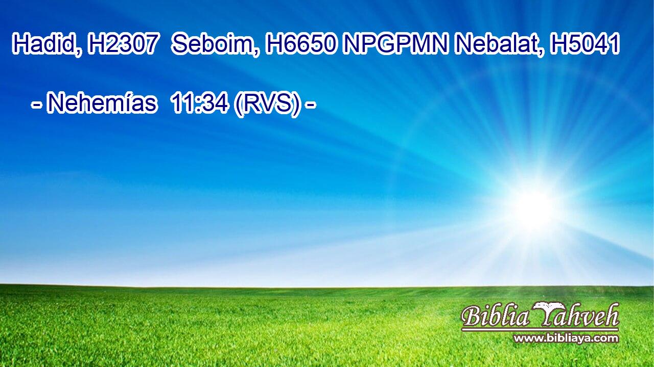 Hadid, H2307  Seboim, H6650 NPGPMN Nebalat, H5041  