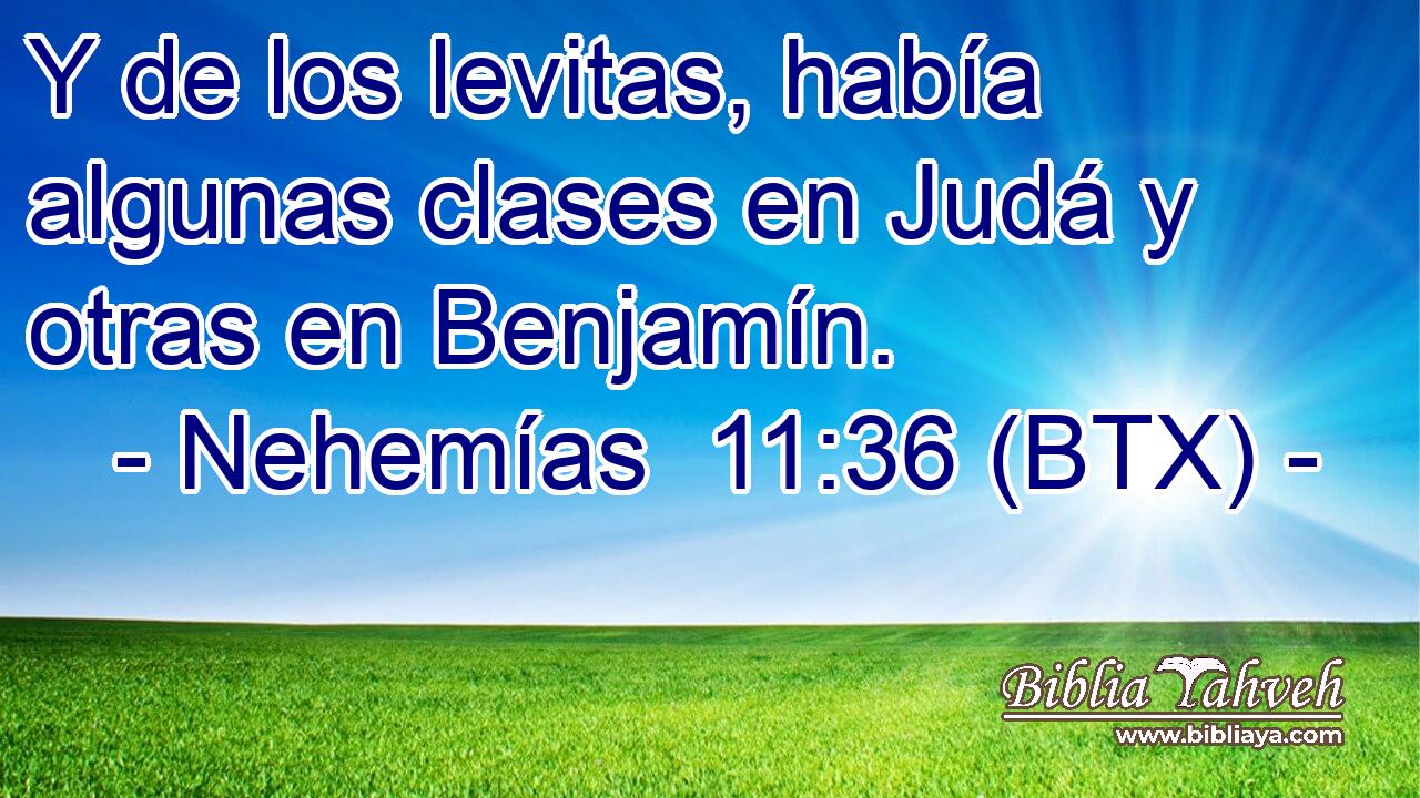 Y de los levitas, había algunas clases en Judá y otras en Benjamín.