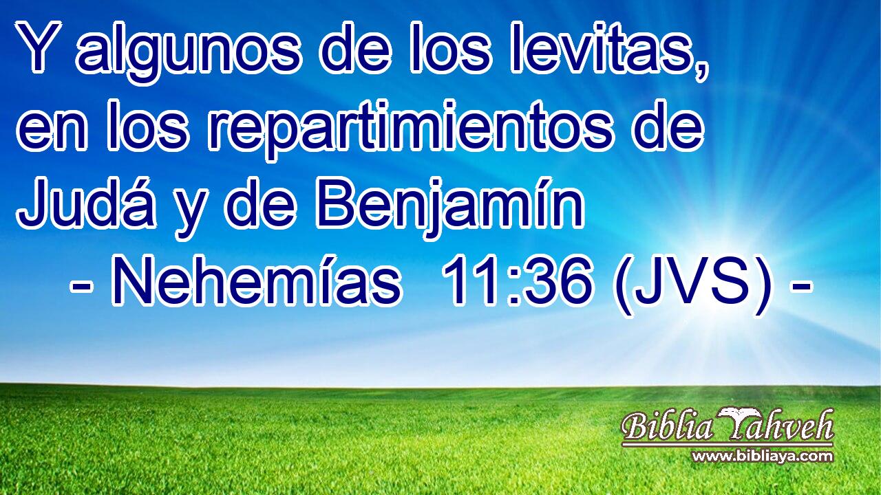 Y algunos de los levitas, en los repartimientos de Judá y de Benjamín
