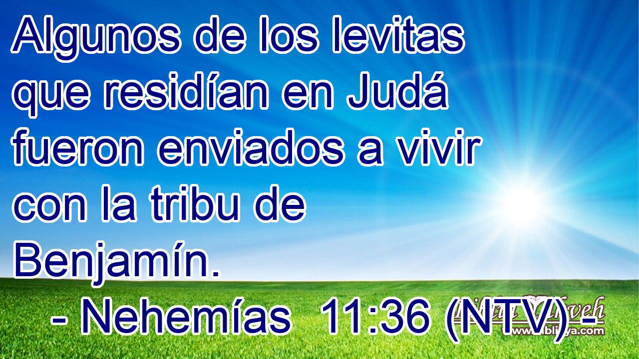 Algunos de los levitas que residían en Judá fueron enviados a vivir con la tribu de Benjamín.