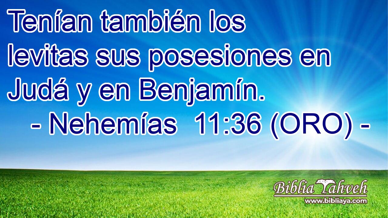  Tenían también los levitas sus posesiones en Judá y en Benjamín. 