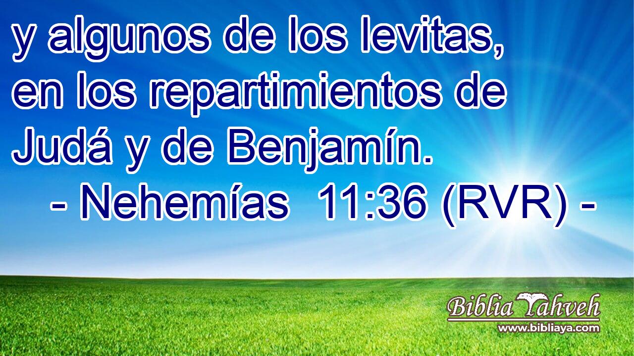 y algunos de los levitas, en los repartimientos de Judá y de Benjamín.