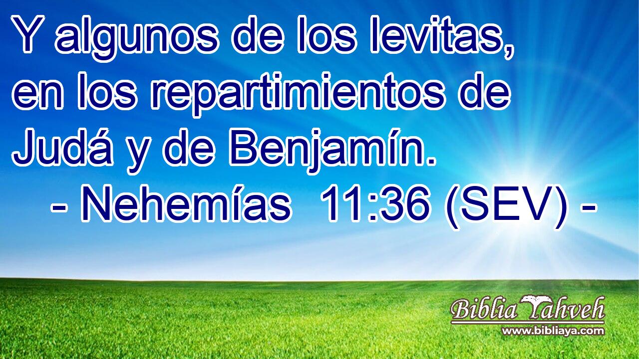 Y algunos de los levitas, en los repartimientos de Judá y de Benjamín.
