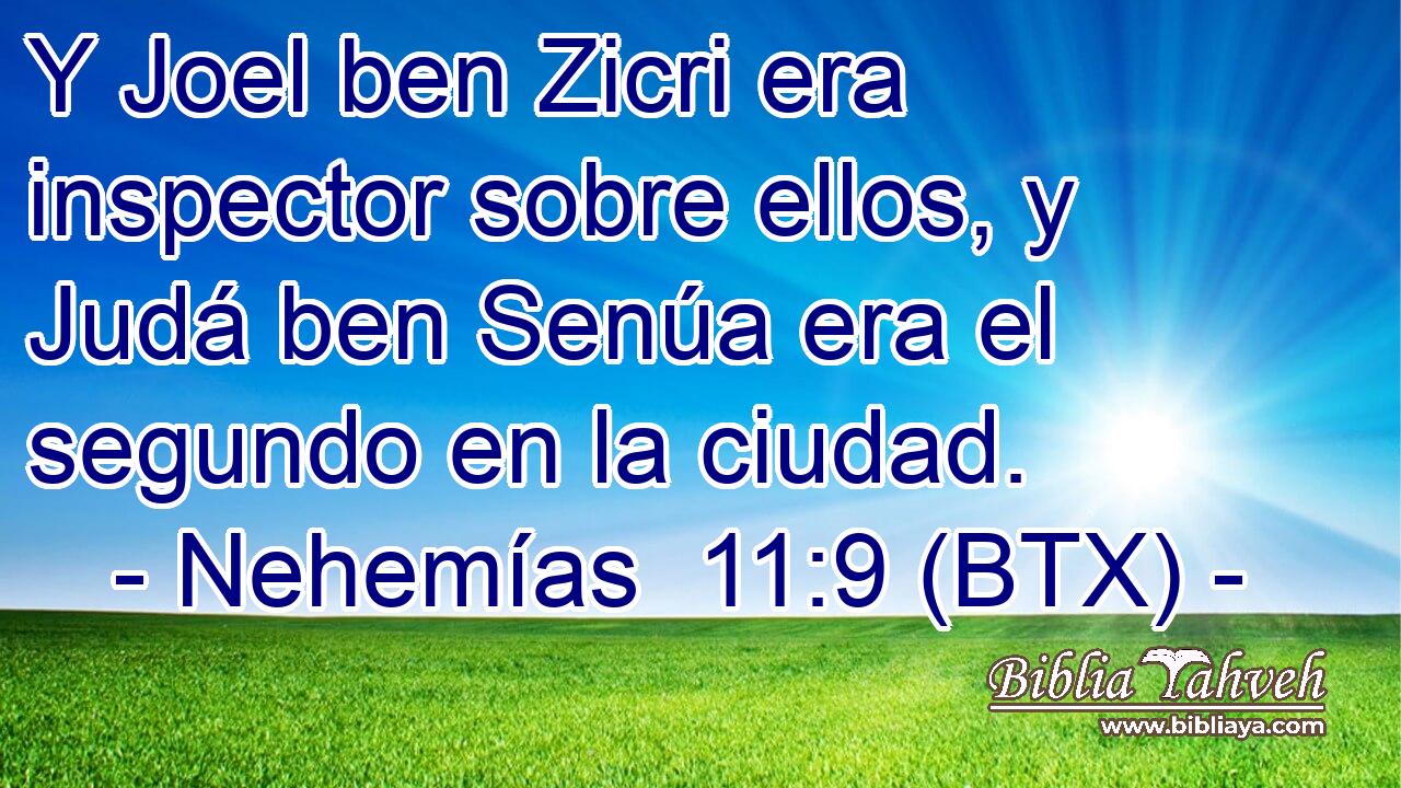 Y Joel ben Zicri era inspector sobre ellos, y Judá ben Senúa era el segundo en la ciudad.