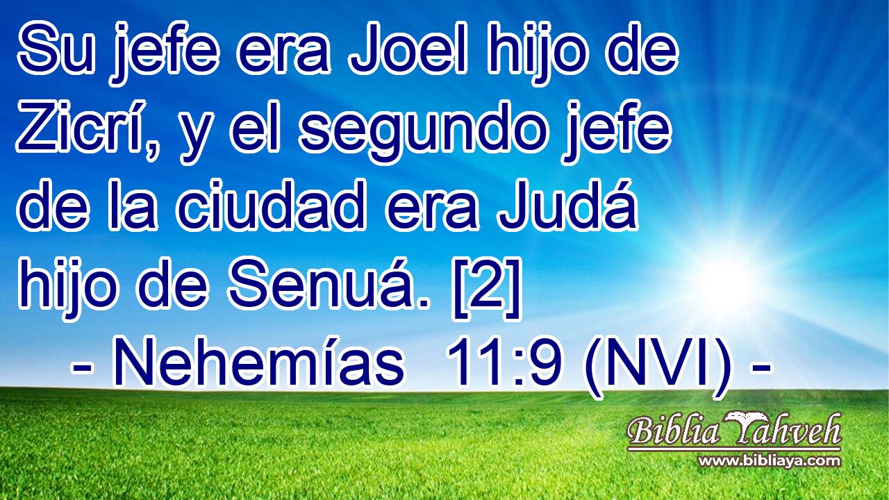  Su jefe era Joel hijo de Zicrí, y el segundo jefe de la ciudad era Judá hijo de Senuá. [2] 