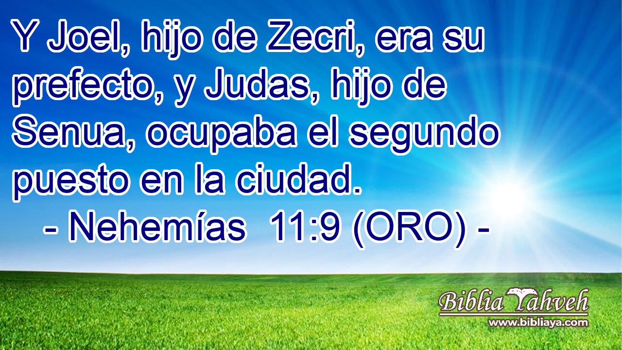  Y Joel, hijo de Zecri, era su prefecto, y Judas, hijo de Senua, ocupaba el segundo puesto en la ciudad. 