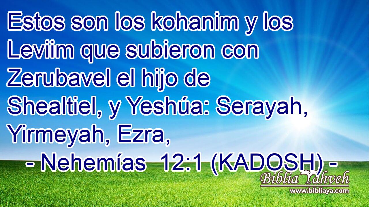  Estos son los kohanim y los Leviim que subieron con Zerubavel el hijo de Shealtiel, y Yeshúa: Serayah, Yirmeyah, Ezra, 