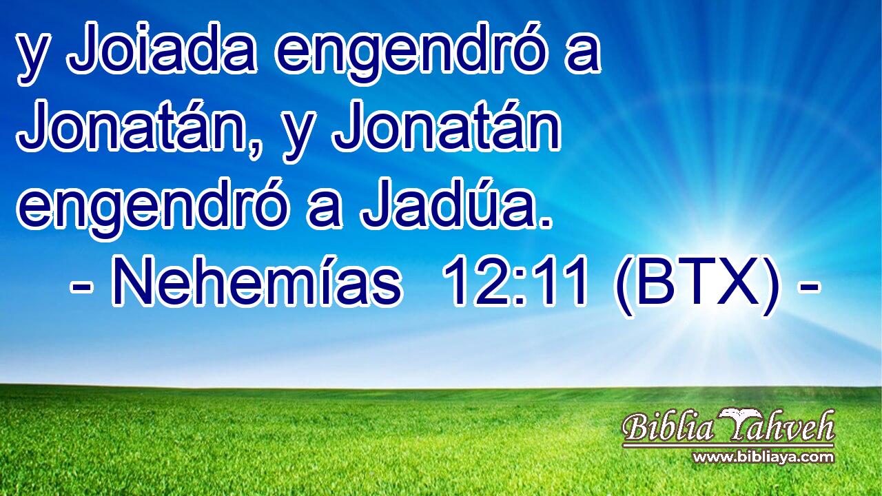 y Joiada engendró a Jonatán, y Jonatán engendró a Jadúa.