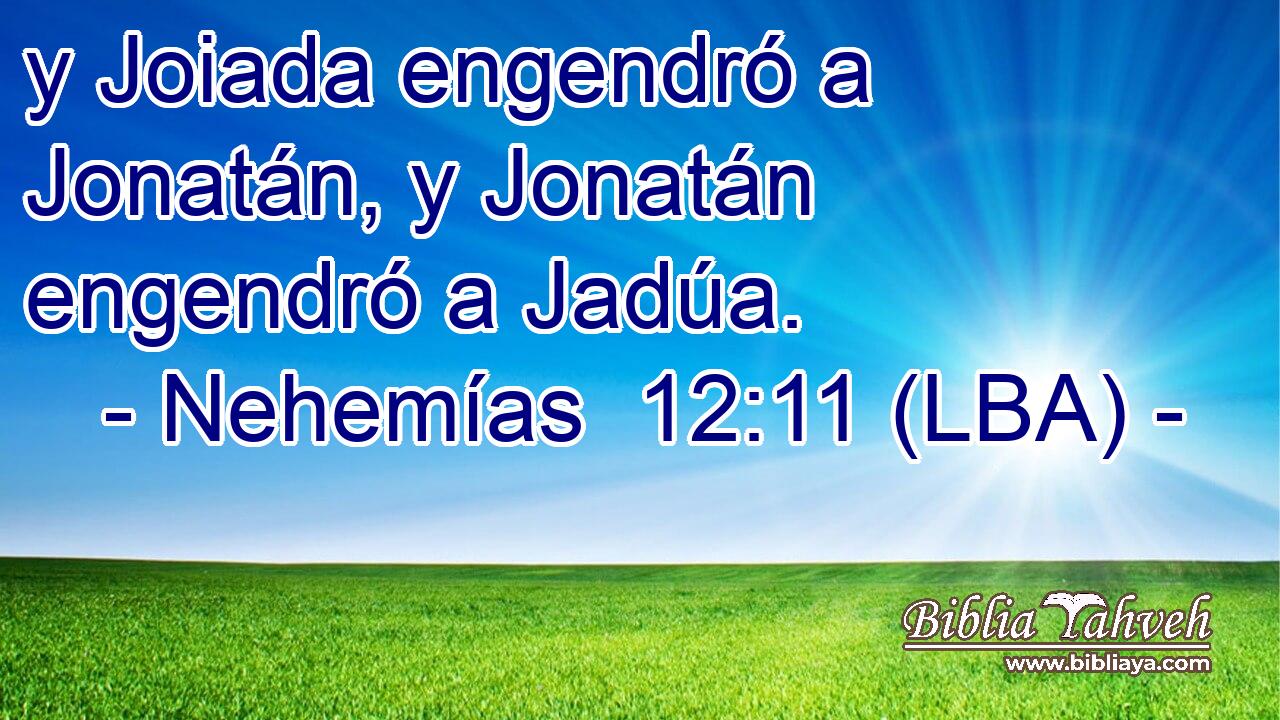 y Joiada engendró a Jonatán, y Jonatán engendró a Jadúa.