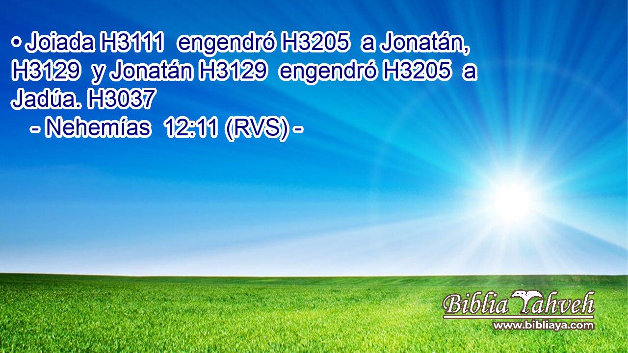 • Joiada H3111  engendró H3205  a Jonatán, H3129  y Jonatán H3129  engendró H3205  a Jadúa. H3037  