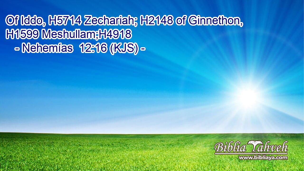 Of Iddo, H5714 Zechariah; H2148 of Ginnethon, H1599 Meshullam;H4918