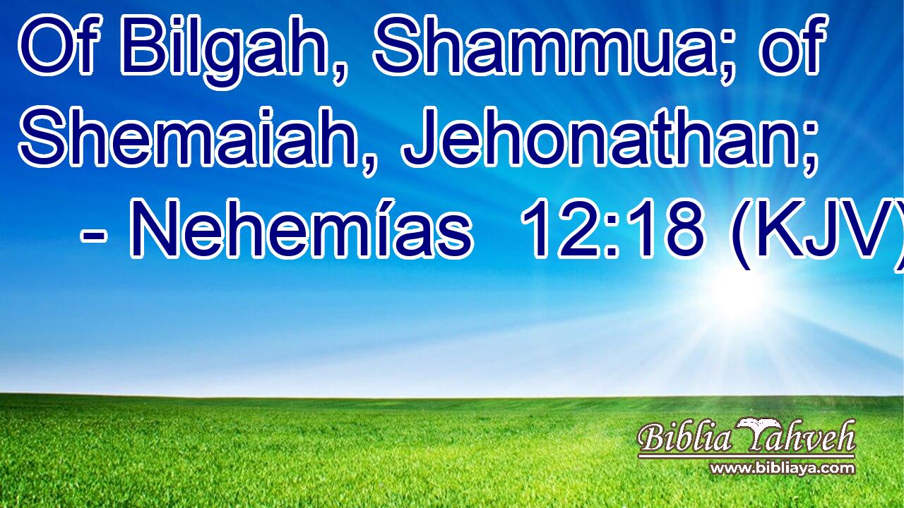 Of Bilgah, Shammua; of Shemaiah, Jehonathan;