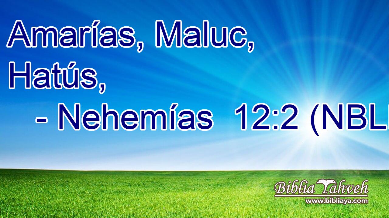  Amarías, Maluc, Hatús, 