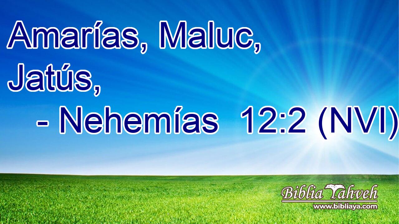  Amarías, Maluc, Jatús, 