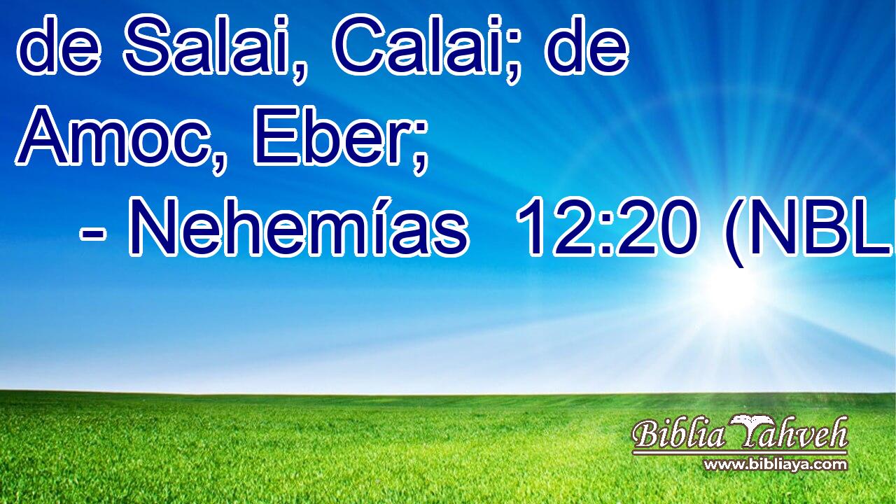  de Salai, Calai; de Amoc, Eber; 