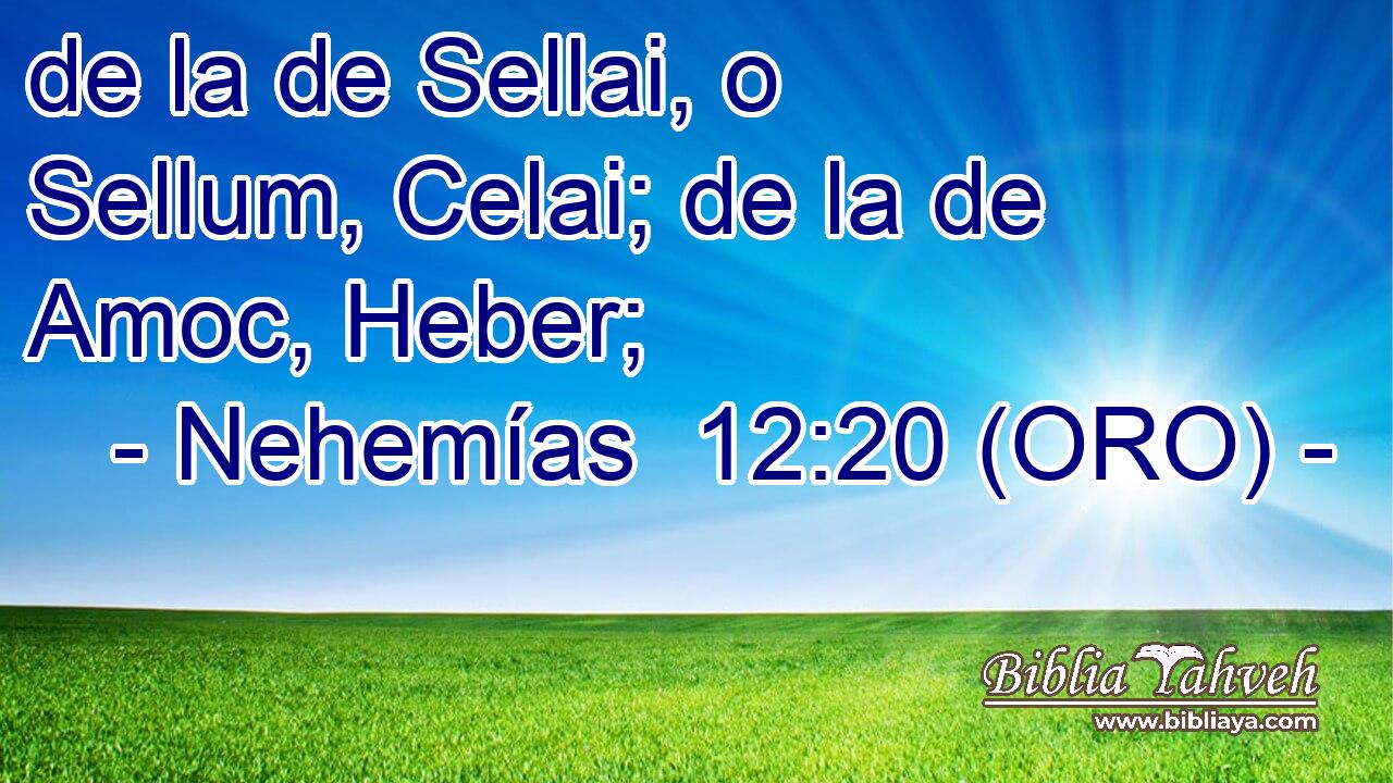  de la de Sellai, o Sellum, Celai; de la de Amoc, Heber; 