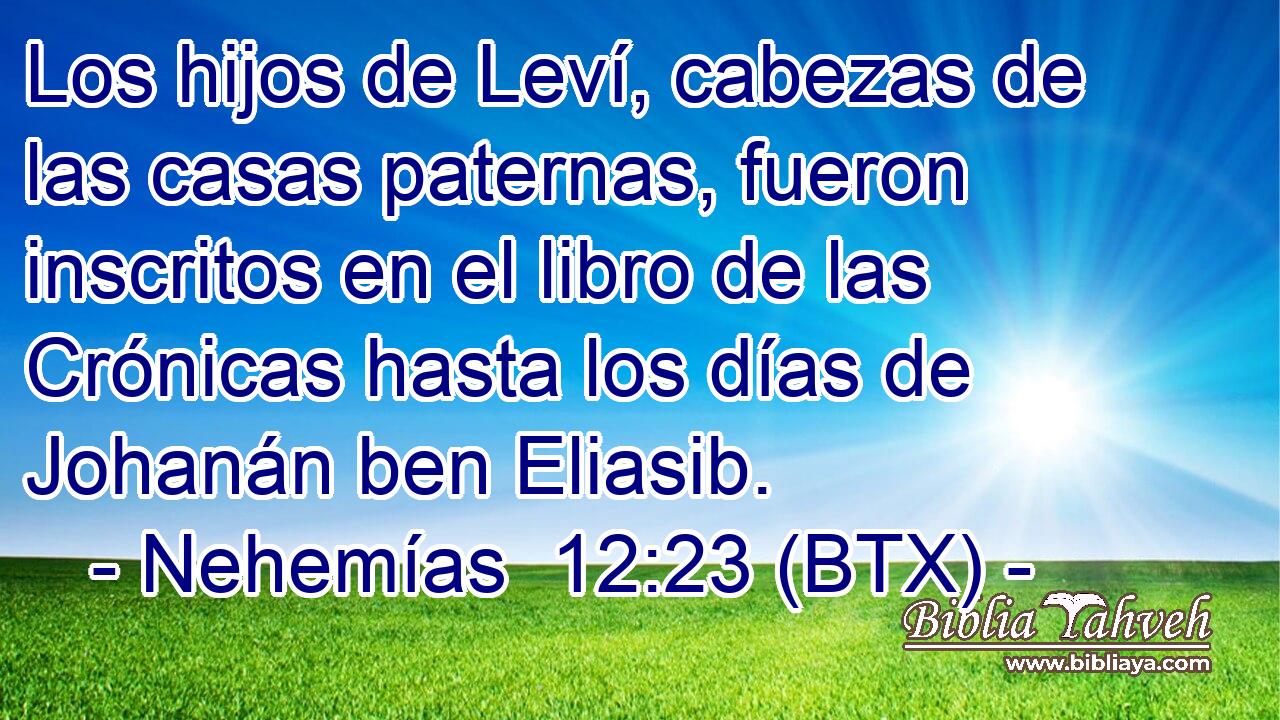 Los hijos de Leví, cabezas de las casas paternas, fueron inscritos en el libro de las Crónicas hasta los días de Johanán ben Eliasib.