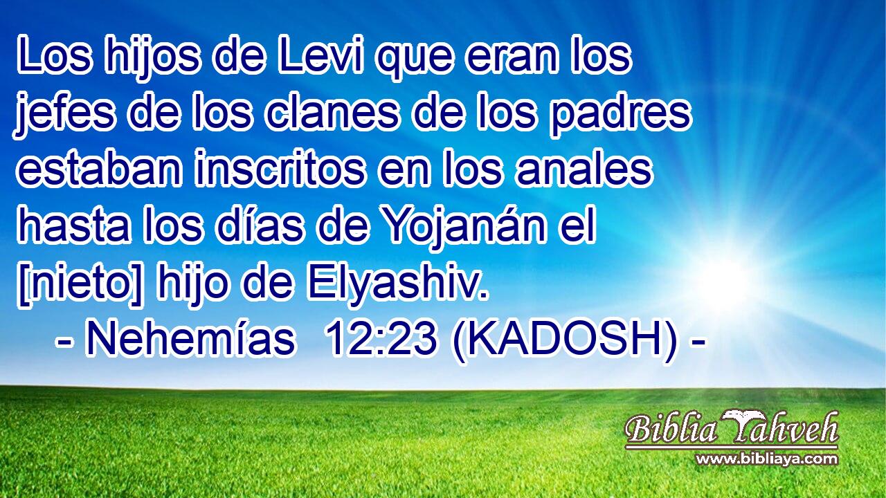  Los hijos de Levi que eran los jefes de los clanes de los padres estaban inscritos en los anales hasta los días de Yojanán el [nieto] hijo de Elyashiv. 