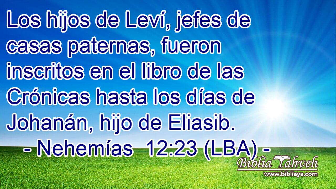 Los hijos de Leví, jefes de casas paternas, fueron inscritos en el libro de las Crónicas hasta los días de Johanán, hijo de Eliasib.