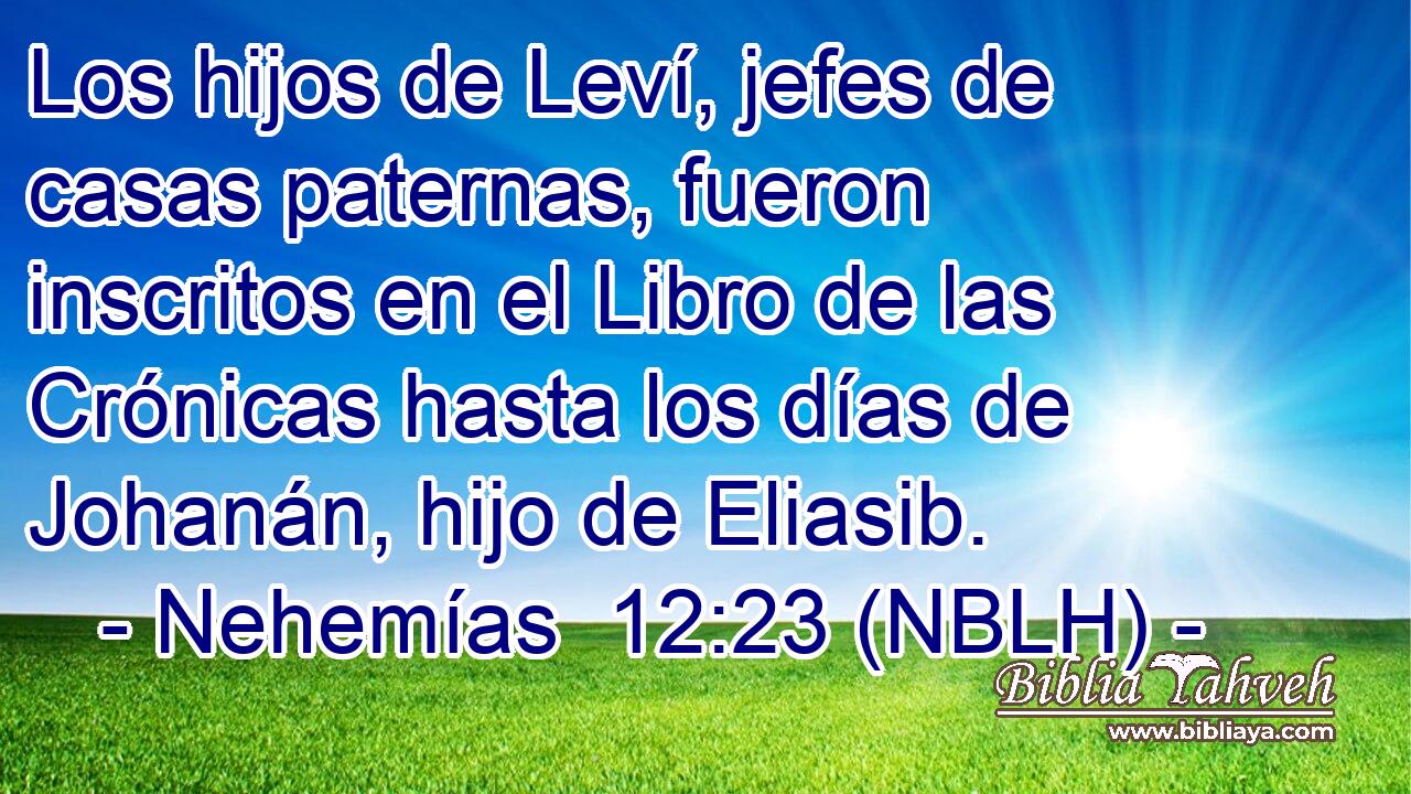  Los hijos de Leví, jefes de casas paternas, fueron inscritos en el Libro de las Crónicas hasta los días de Johanán, hijo de Eliasib. 
