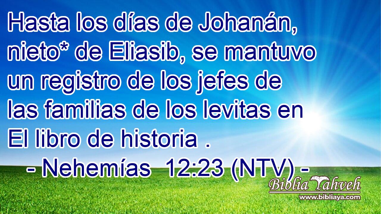 Hasta los días de Johanán, nieto* de Eliasib, se mantuvo un registro de los jefes de las familias de los levitas en El libro de historia .