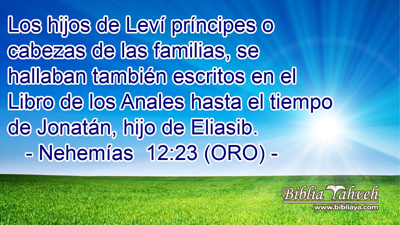 Los hijos de Leví príncipes o cabezas de las familias, se hallaban también escritos en el Libro de los Anales hasta el tiempo de Jonatán, hijo de Eliasib. 
