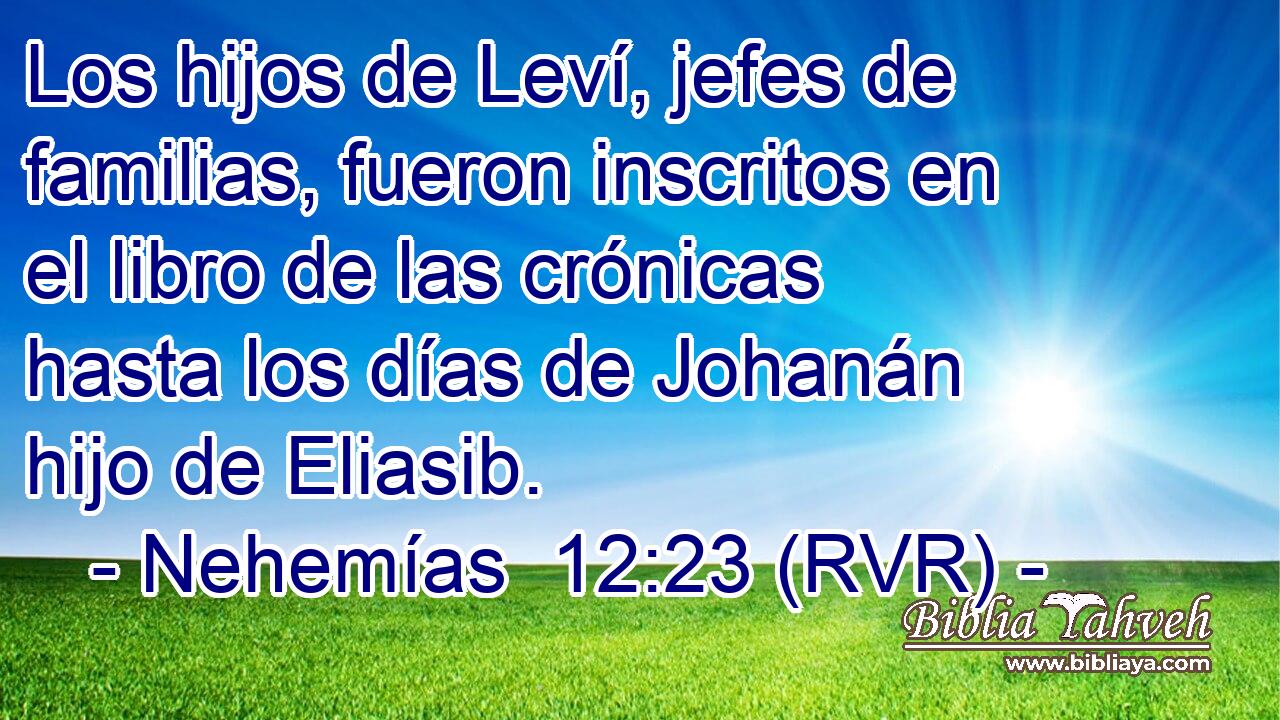 Los hijos de Leví, jefes de familias, fueron inscritos en el libro de las crónicas hasta los días de Johanán hijo de Eliasib.
