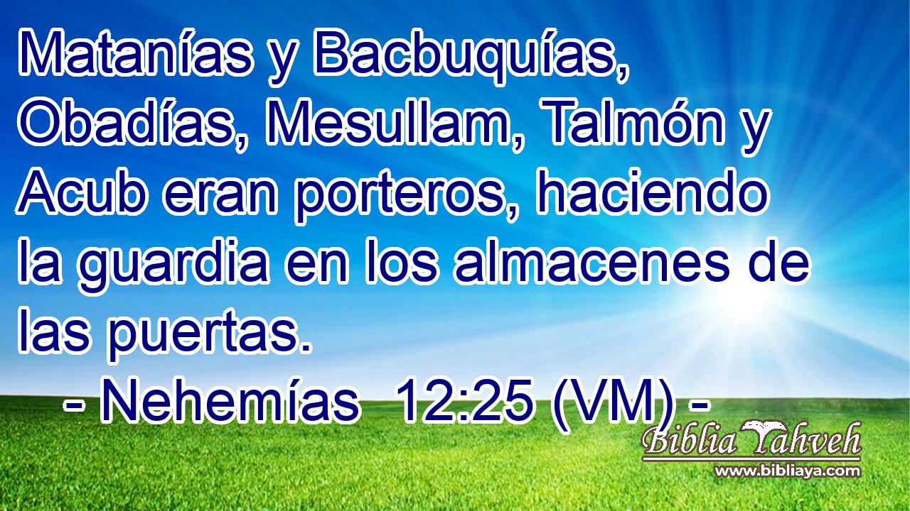  Matanías y Bacbuquías, Obadías, Mesullam, Talmón y Acub eran porteros, haciendo la guardia en los almacenes de las puertas. 