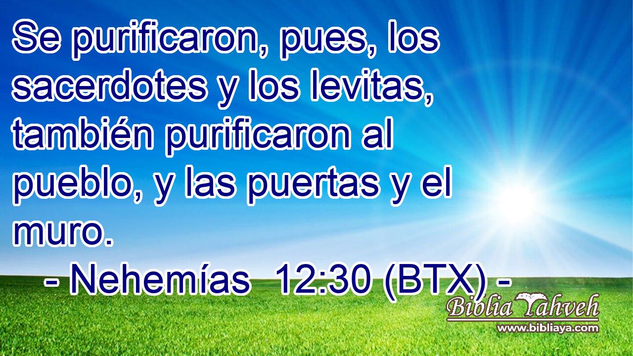 Se purificaron, pues, los sacerdotes y los levitas, también purificaron al pueblo, y las puertas y el muro.