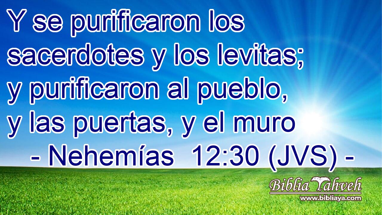 Y se purificaron los sacerdotes y los levitas; y purificaron al pueblo, y las puertas, y el muro