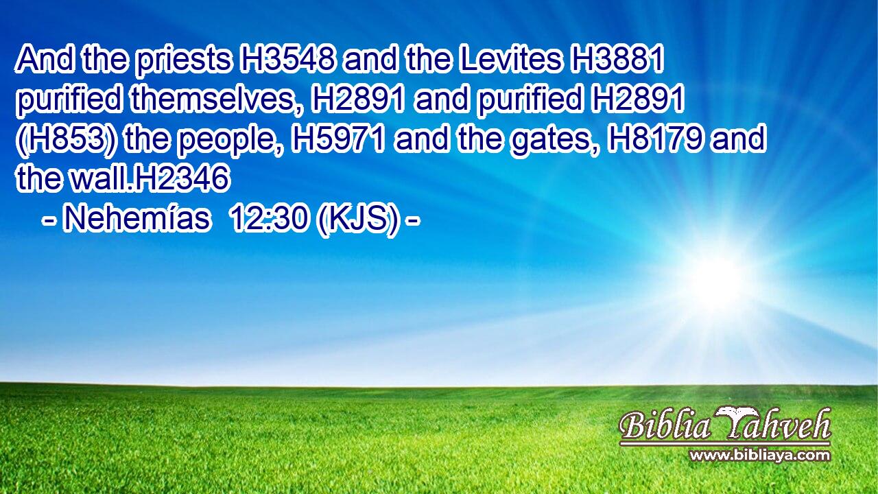 And the priests H3548 and the Levites H3881 purified themselves, H2891 and purified H2891 (H853) the people, H5971 and the gates, H8179 and the wall.H2346