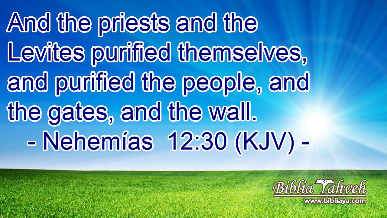 And the priests and the Levites purified themselves, and purified the people, and the gates, and the wall.