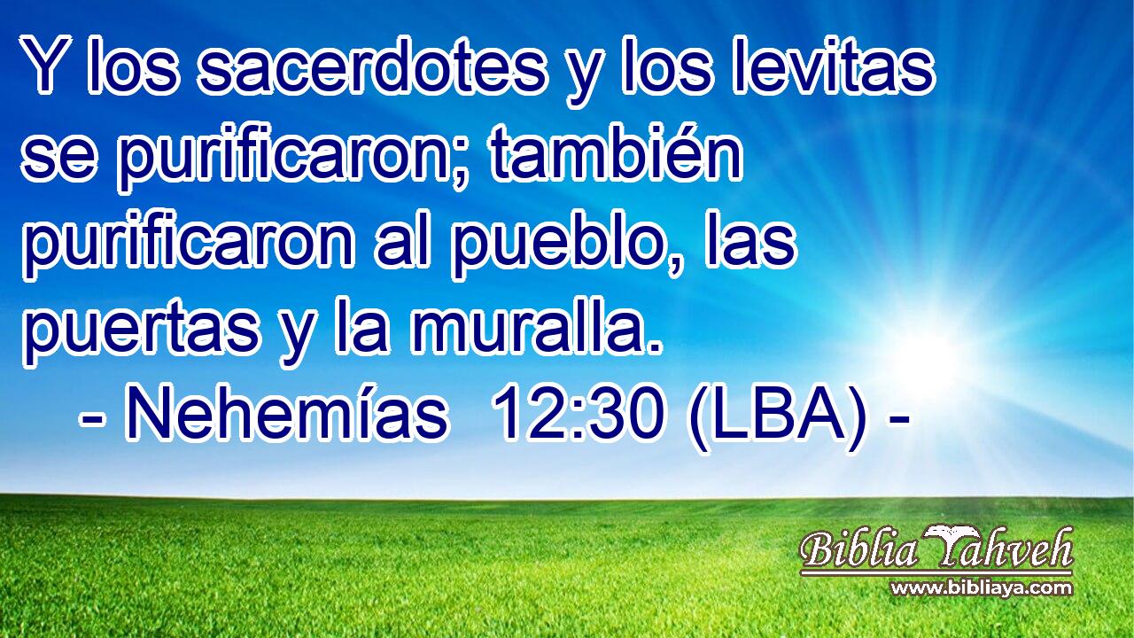 Y los sacerdotes y los levitas se purificaron; también purificaron al pueblo, las puertas y la muralla.
