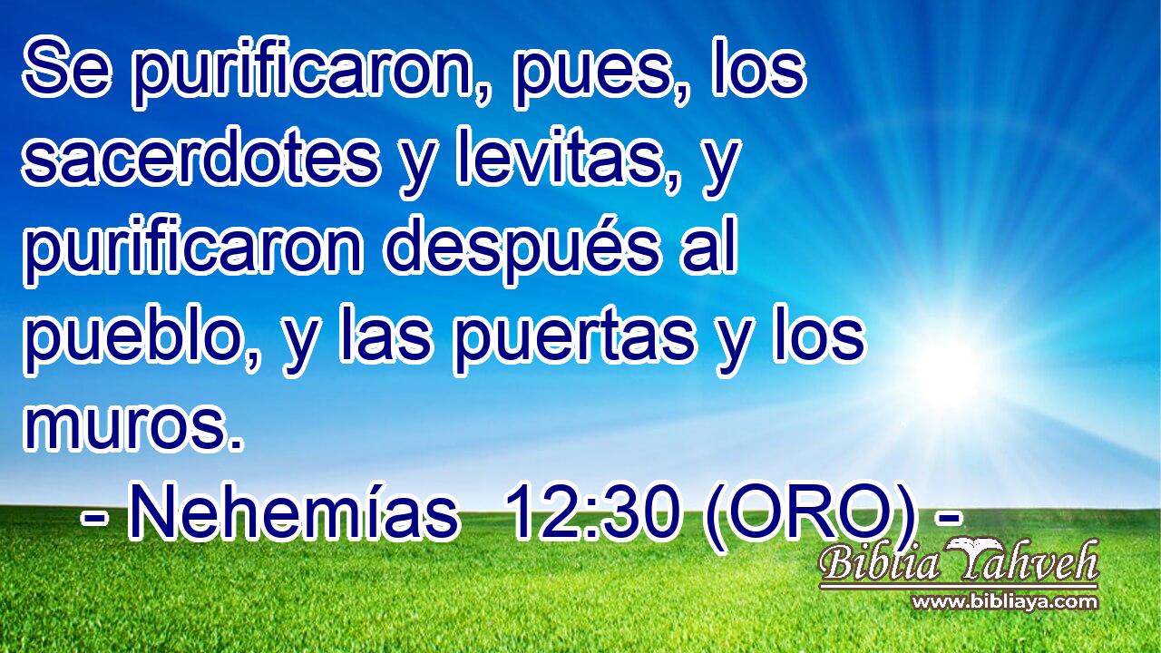  Se purificaron, pues, los sacerdotes y levitas, y purificaron después al pueblo, y las puertas y los muros. 
